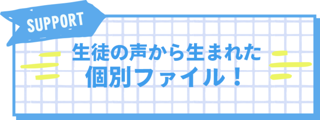 生徒の声から生まれた個別ファイル！